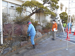 短大 玄関前の植樹